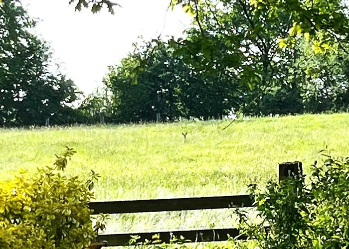 Daire Rehblick In - Ruhe & Erholung Pur! *